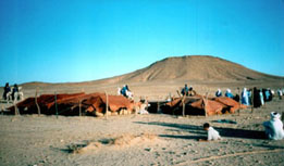 campement nomade hoggar
